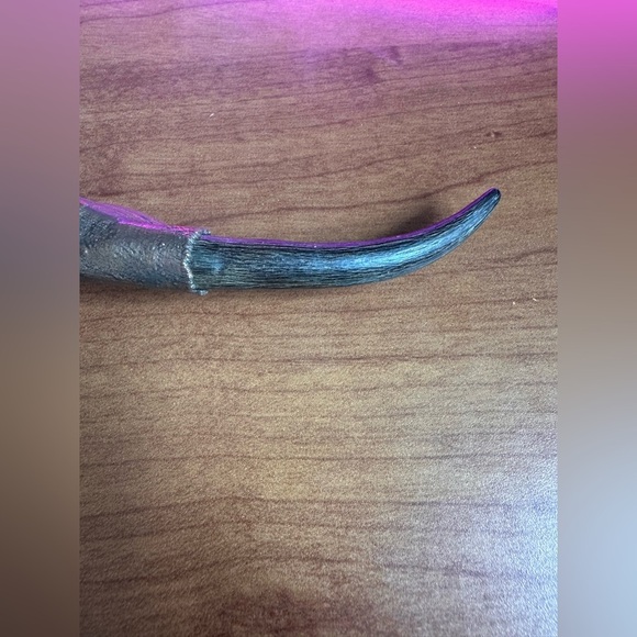 Stunning Artesian Massive Crystal & Labradorite Copper Pendant with genuine horn - Picture 7 of 8